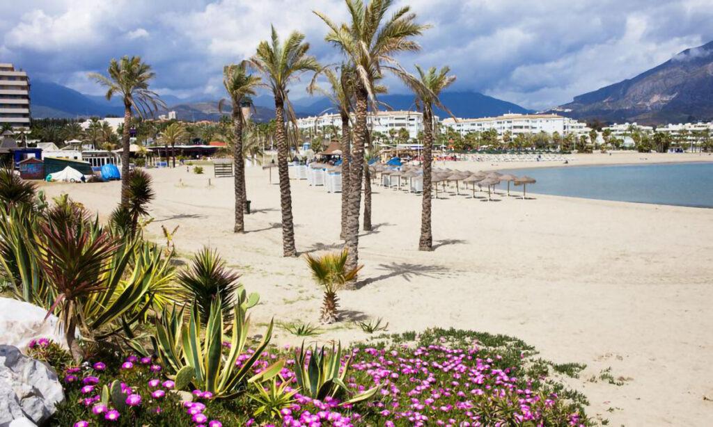 palmesus på badestrand i marbella