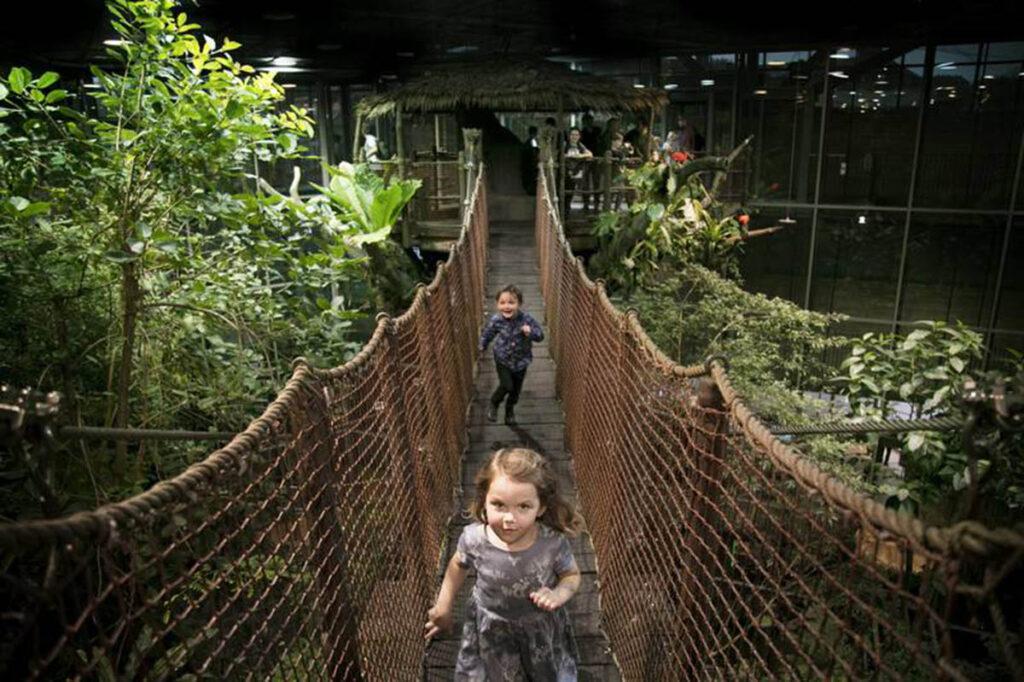 to barn som leker på Universeum i gøteborg.