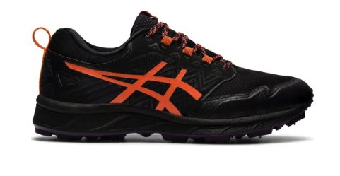 Asics Gel-Fujisetsu 3 Gore-Tex