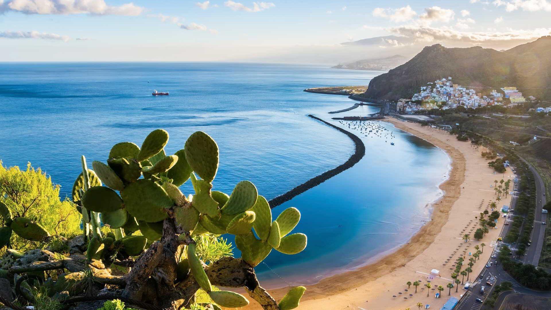 Bilde av strand og kaktus med fjell i bakgrunn på Tenerife. Vi har funnet frem billige restplasser og reiser til den populære øya som har gode temperaturer hele året, og som ligger på rundt 20 grader selv om vinteren.