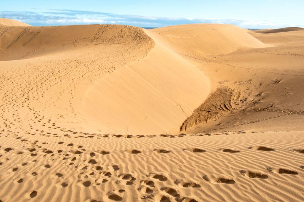 Bilde av gyldne sandyner i Maspalomas på Gran Canaria. Vi gir deg fem spennende fakta om den populære Kanariøyen.