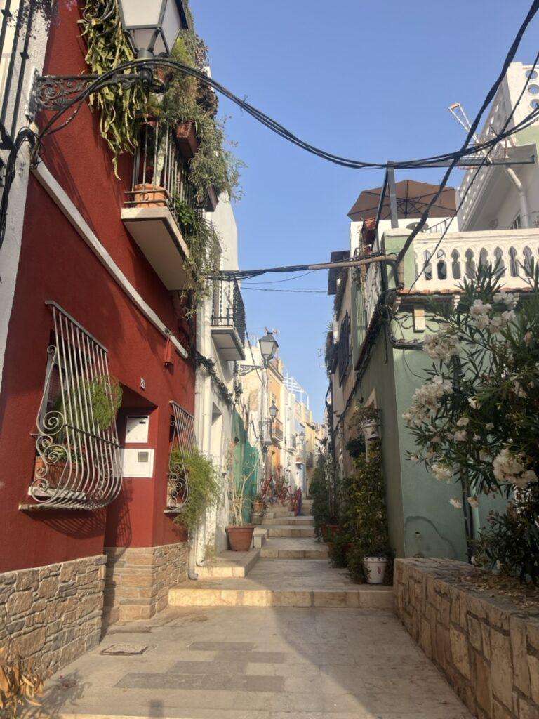 En sjarmerende, smal gate i gamlebyen i Alicante, omgitt av fargerike hus i rødt, grønt og hvitt. Gaten er brosteinsbelagt med små trapper som fører oppover, og blomsterkrukker og klatreplanter pynter opp både fasader og fortau. Smijernsgitter, gamle gatelykter og synlige ledninger bidrar til den autentiske, litt rustikke middelhavsstemningen. Sollyset bader gaten i varmt gyllent lys, og gir en fredelig og innbydende atmosfære – perfekt for en rolig spasertur gjennom historie og lokal sjarm.

Ikke gå glipp av gamlebyen i Alicante. Her er du omgitt av smale brosteinsgater, fargerike fasader og lokale tapasbarer, og får en følelse av et autentisk Spania. 