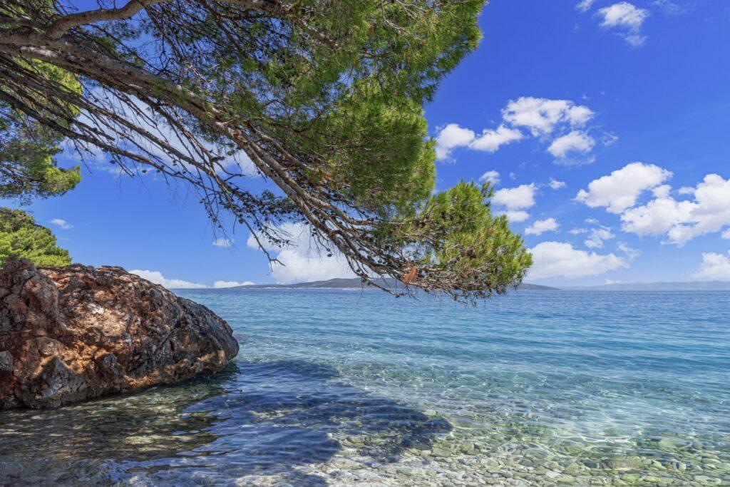 Bilde av krystallklart hav på øya Hvar i Kroatia. Himmelen er blå med noen få skyer og i forgrunnen rammer et grønt tre inn bildet. Vi hjelper deg med å finne riktig destinasjon til din Kroatia-ferie, og har snakket med Gjermund Glesnes, som står bak reisebloggen Detvondeliv.no, som forteller om populære destinasjoner som Brac, Hvar, Split og Dubrovnik.