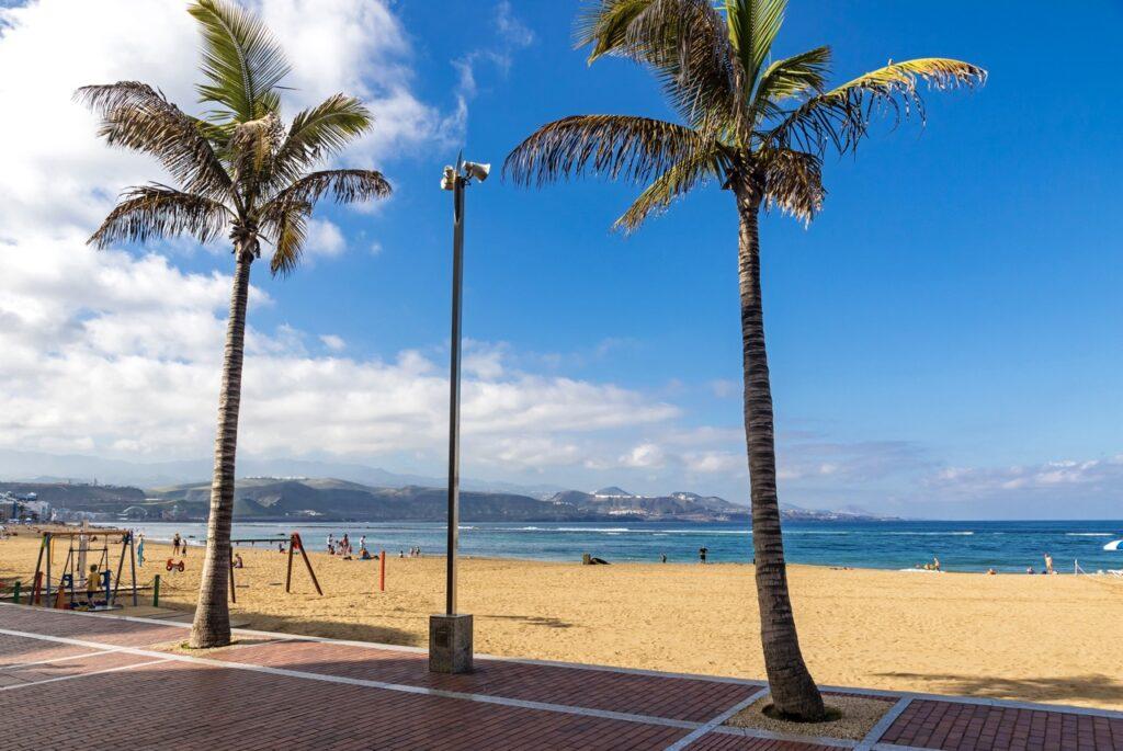 Bildet viser en strandpromenade med to palmetrær som står på hver sin side av et gangfelt med rødbrune fliser. I bakgrunnen ser man sandstranden Playa de Canteras på Gran Canaria med folk som nyter dagen ved sjøen. Lenger bak kan man se fjell og bygninger mot en blå himmel med noen spredte skyer. Det er også en lekeplass med noen få lekeapparater til venstre i bildet. Her får du ti ting du kan gjøre på Gran Canaria, Kanariøyene