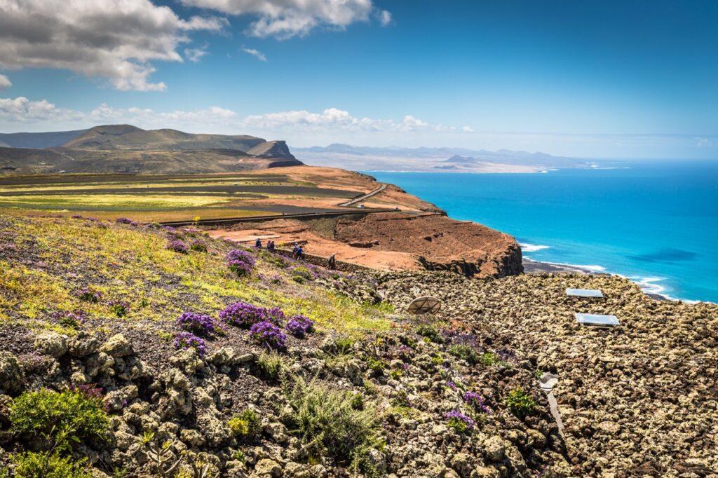 Landskap i Orzola på Lanzarote, Kanariøyene, med en spektakulær utsikt over det klipperike kystlandskapet og det turkise havet. Det er spredt vegetasjon og vakre lilla blomster i forgrunnen, og fjell og åser i bakgrunnen under en blå himmel med noen spredte skyer.