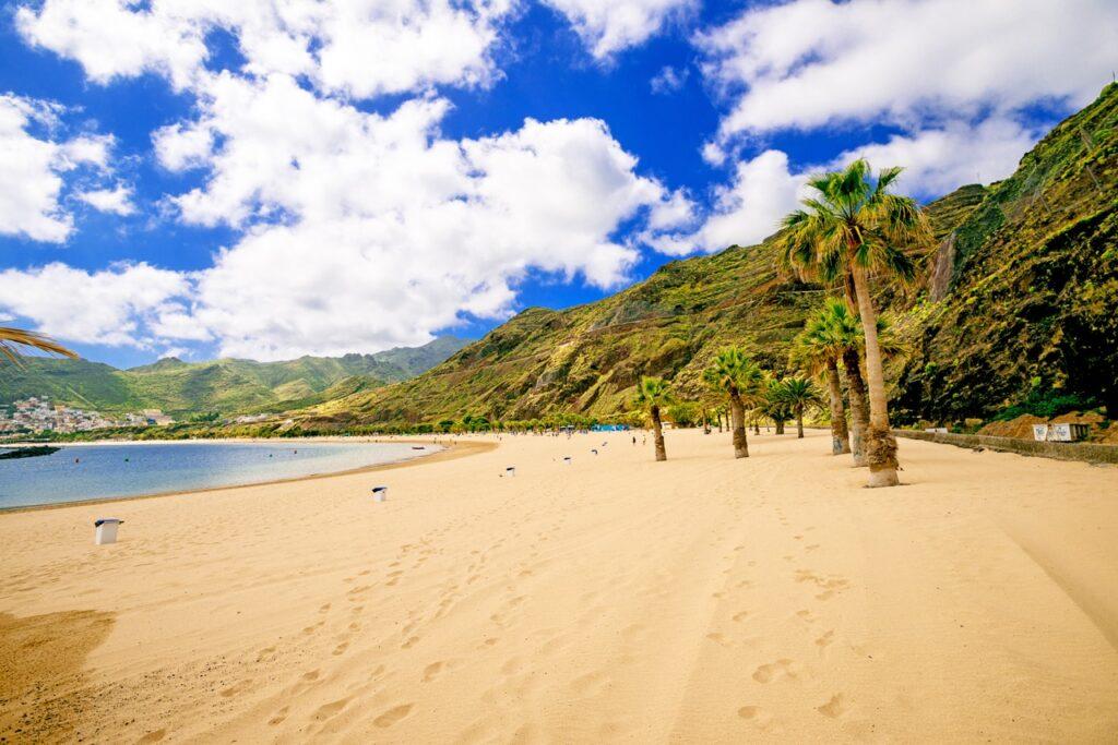 En bred sandstrand på Tenerife, Kanariøyene, med palmetrær plantet i rekker langs strandlinjen. Sanden er gylden og myk, og fjellene i bakgrunnen er grønne og frodige. Solen skinner, og himmelen er klar med noen få spredte skyer. Tenerife er den største Kanariøyen og har Spanias høyeste fjell, Teide. Hovedstaden er Santa Cruz de Tenerife. Her kan du finne billige reiser til Tenerife, samt hotell på den populære kanariøyen.