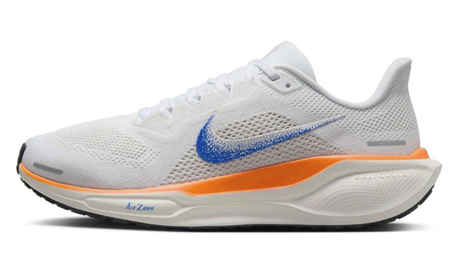 Nike Pegasus 41