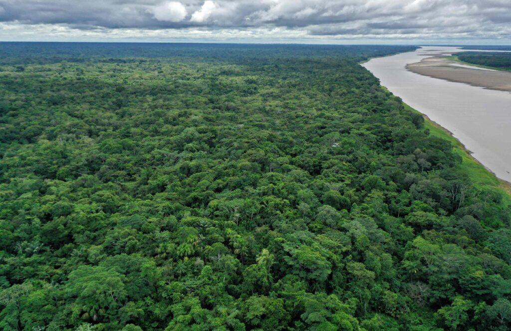 Luftfoto av Amazonas-elven og den omkringliggende frodige regnskogen nær Leticia, Colombia.