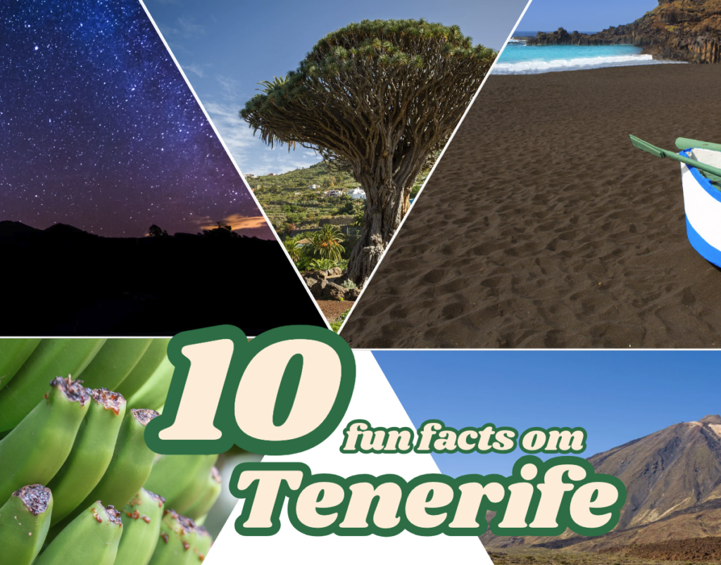 Bildet er en kollasje som fremhever forskjellige aspekter av Tenerife, akkompagnert av teksten "10 fun facts om Tenerife" i midten. Øverst til venstre vises en nattehimmel fylt med stjerner, som fremhever øyas status som et paradis for stjernetitting. Øverst i midten er det et drageblodstre, et ikonisk tre som er et symbol for Tenerife og kjent for sin unike form. Øverst til høyre ser vi en svart sandstrand, som viser øyas vulkanske opprinnelse. Nederst til venstre er det en nærbilde av grønne bananer, en viktig eksportvare fra Tenerife. Nederst til høyre er Teide-fjellet, Spanias høyeste fjell og en av øyas mest kjente landemerker. Bildet gir et visuelt sammendrag av Tenerife som en destinasjon rik på natur, kultur og unike opplevelser. Hvorfor elsker Hollywood Tenerife, hva gjør kanariøya unik for stjernetitting og hva samles over en million mennesker på øya om hvert år?