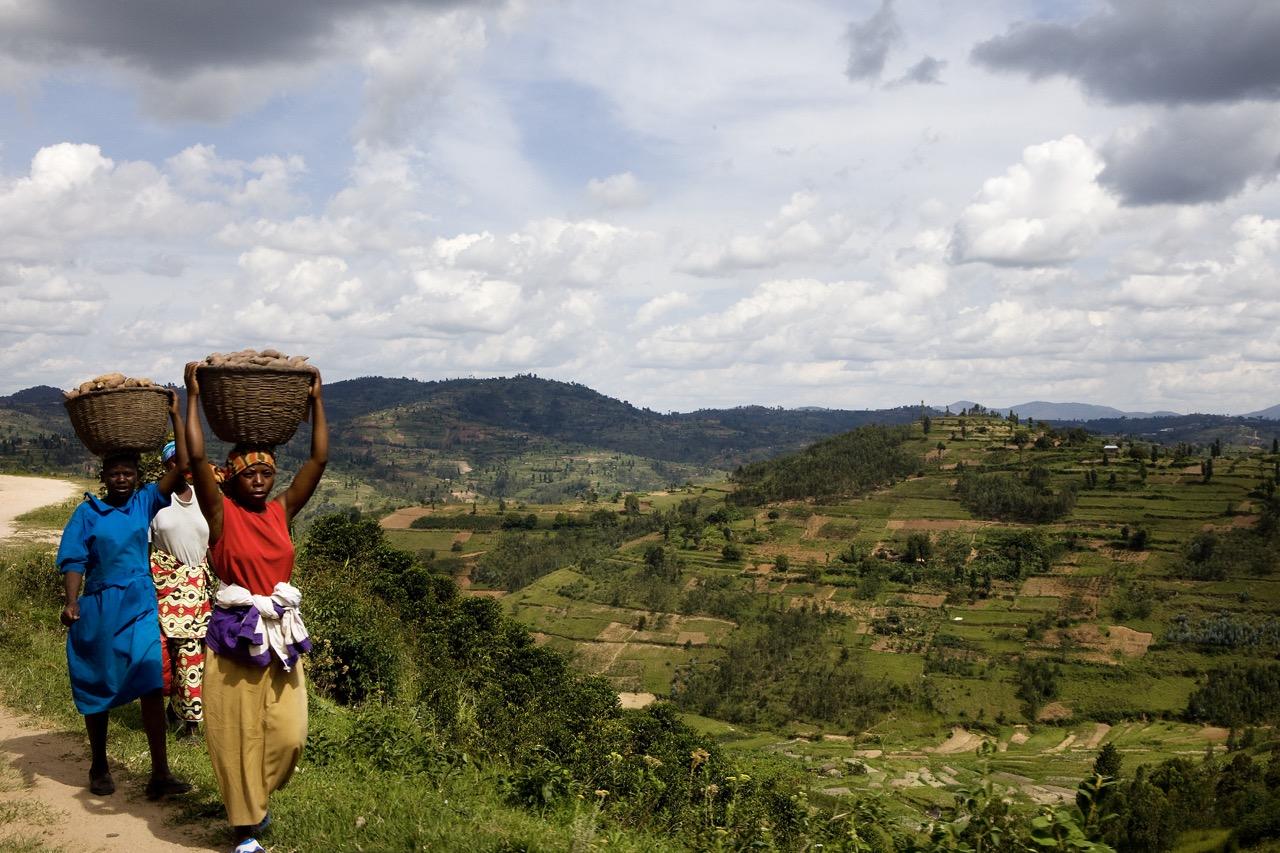 Kvinner i Rwanda bærer kurver med mat over hodet i et grønt og frodig landskap.