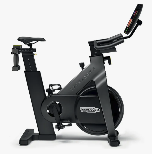 Technogym Bike