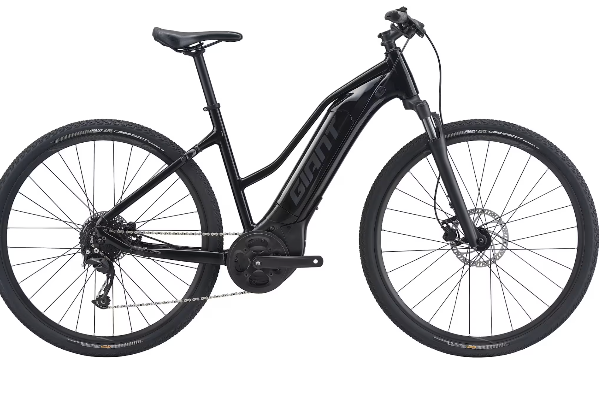 GIANT Roam E+ STA