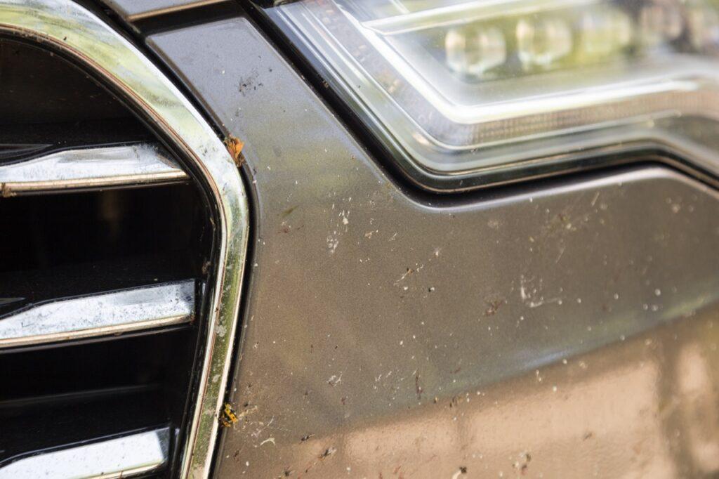 Vi viser deg hvordan du fjerner insekter fra bil, enten du gjør det hjemme eller er proff. Bilde av fronten på bil full av insekter.