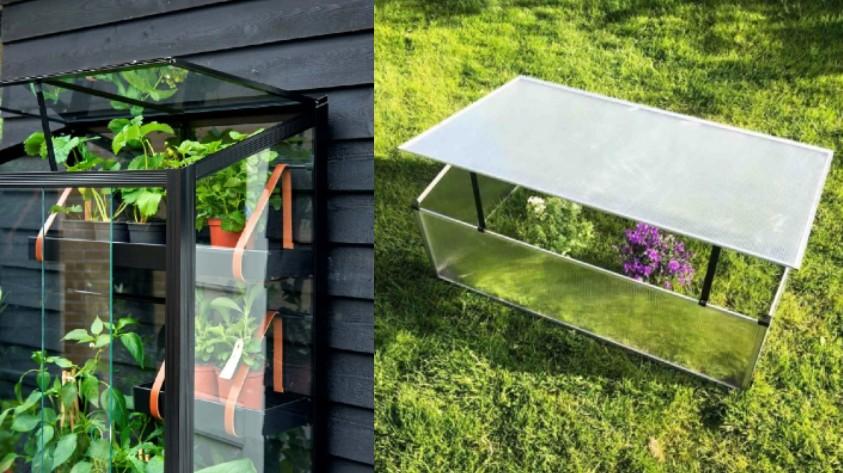 Hvordan plante i minidrivhus og vegghengt drivhus? Bilde av begge deler.