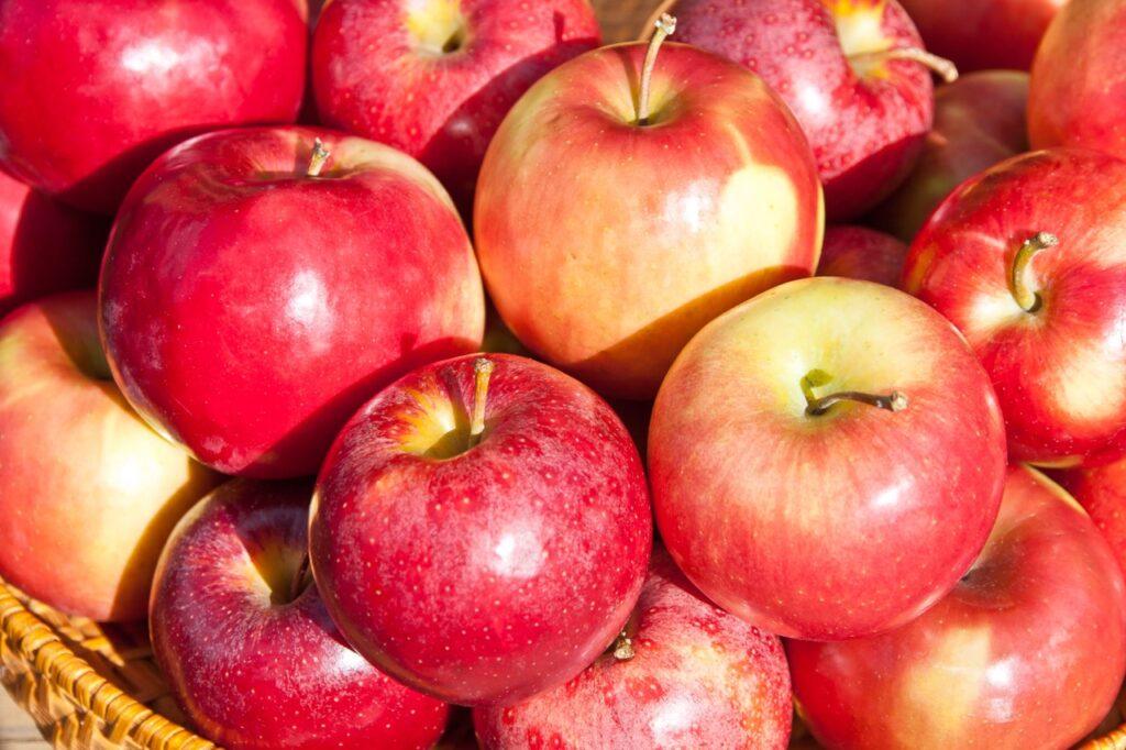 En kurv full av skinnende røde epler.