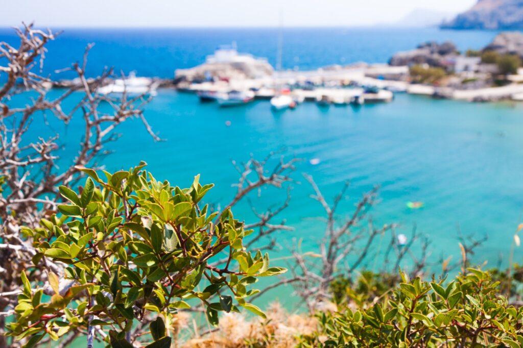 Bilde av grønne busker som er i fokus mens man ser krystallklart hav med båter på i bakgrunnen ute av fokus. Rhodos i Hellas er en drøm, og her får du både billige reiser og pakkereiser til den greske øya. Vi gir deg også fem ting du må se og gjøre på Rhodos, samt svar på ofte stilte spørsmål om øya.