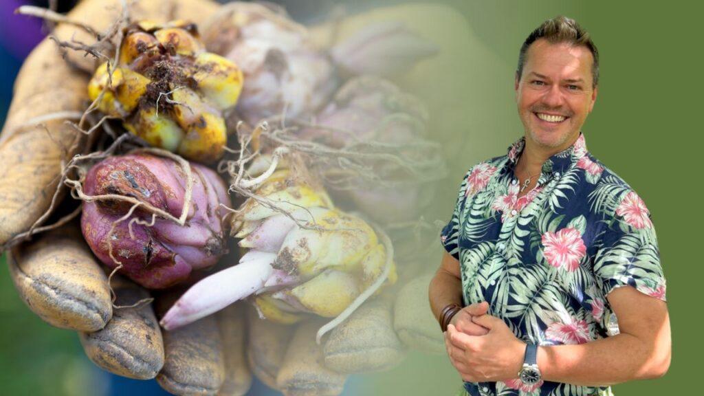 Til venstre vises en nærbilde av en hånd i slitesterke hagehansker som holder flere blomsterløker klare for planting. Løkene har en jordaktig overflate og varierer i farger fra lilla til gulaktig. Bakgrunnen er litt uskarp, noe som fremhever detaljene i løkene. Til høyre er Espen Skarphagen avbildet, smilende i sin fargerike, blomstrete skjorte, plassert mot en grønn bakgrunn som gir assosiasjoner til hagearbeid og natur.