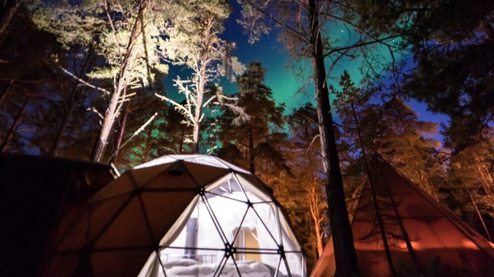 Glamping i vakker norsk natur med stjernehimmel og trær i mørket.