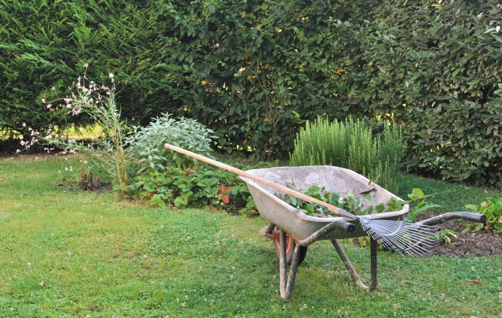 Bilde av trillebår i hage med kvister og rake