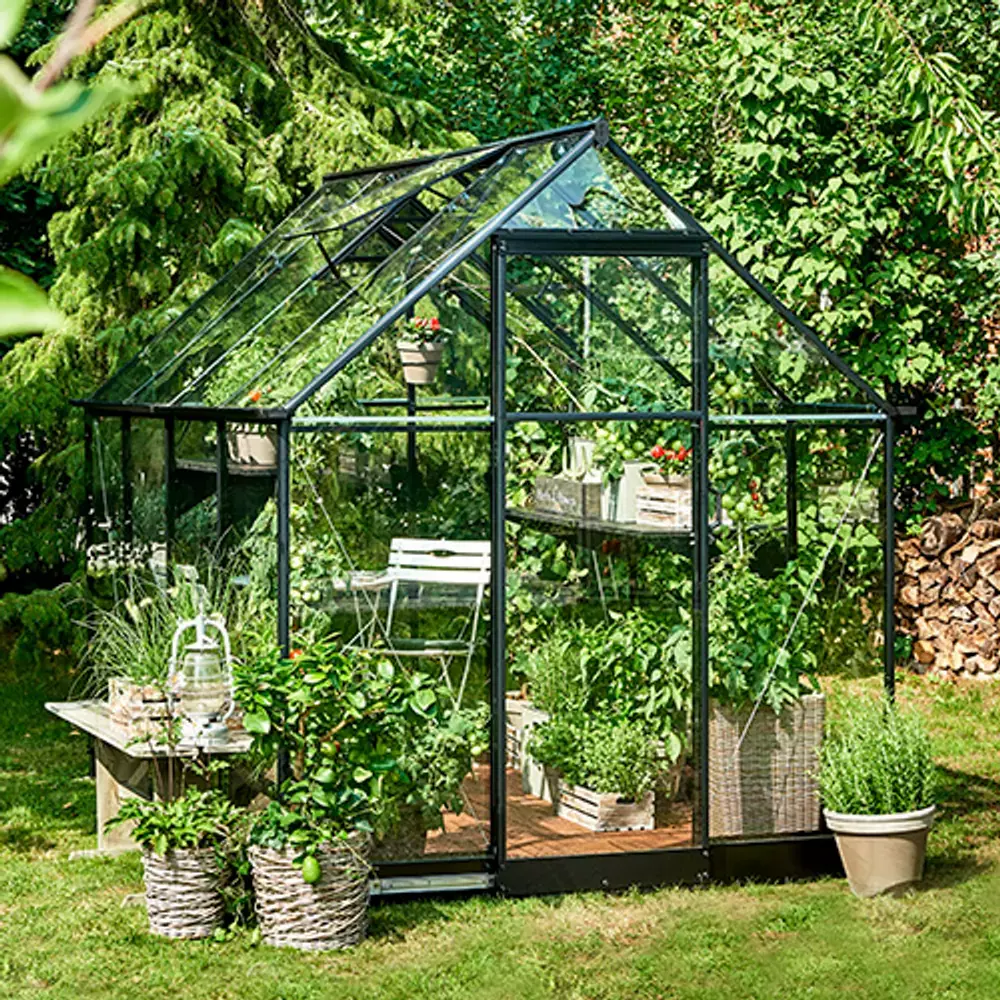 Fint drivhus i frodig, grønn hage
