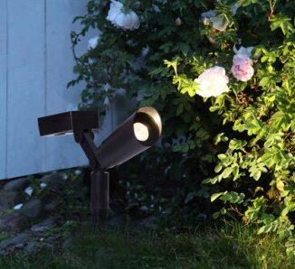 Solcelle belysning, spot lyser mot rosebusk
