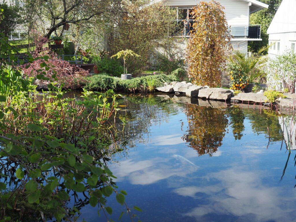 vann gjør seg i en hage, om det er en karpedam som på bildet her eller bare et enkelt fuglebad som er montert opp.