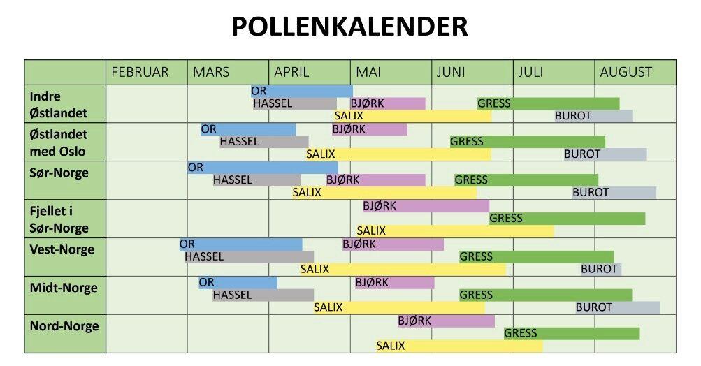 Tabell over når de forskjellige pollen-typene har spredning. Plages du av pollen-allergi? Vi gir deg 10 nyttige tips til hvordan du kan komme deg best mulig gjennom den slitsomme perioden på våren og sommeren.