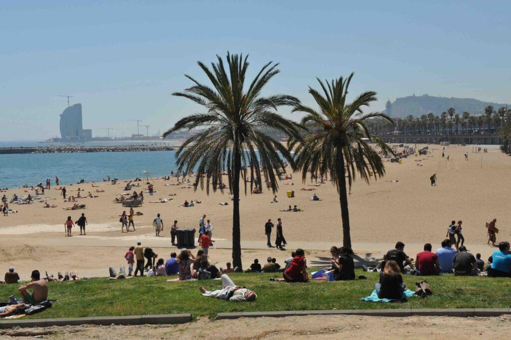 Platja de la Barceloneta er barcelonas mest kjente strand oversiktsbilde med palmer