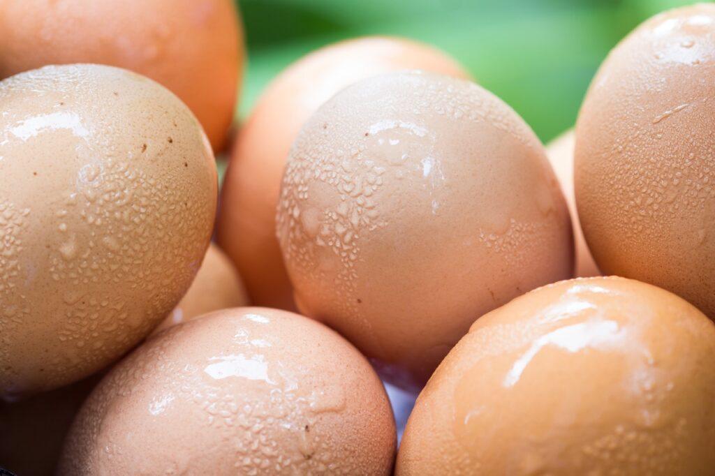 Bilde av våte, brune egg, til saken om 15 ting du ikke visste om egg.