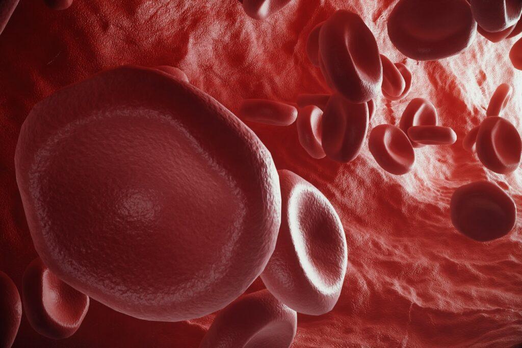 Blodtrykksmåler: Illustrasjonsbilde av røde blodceller i en arterie.