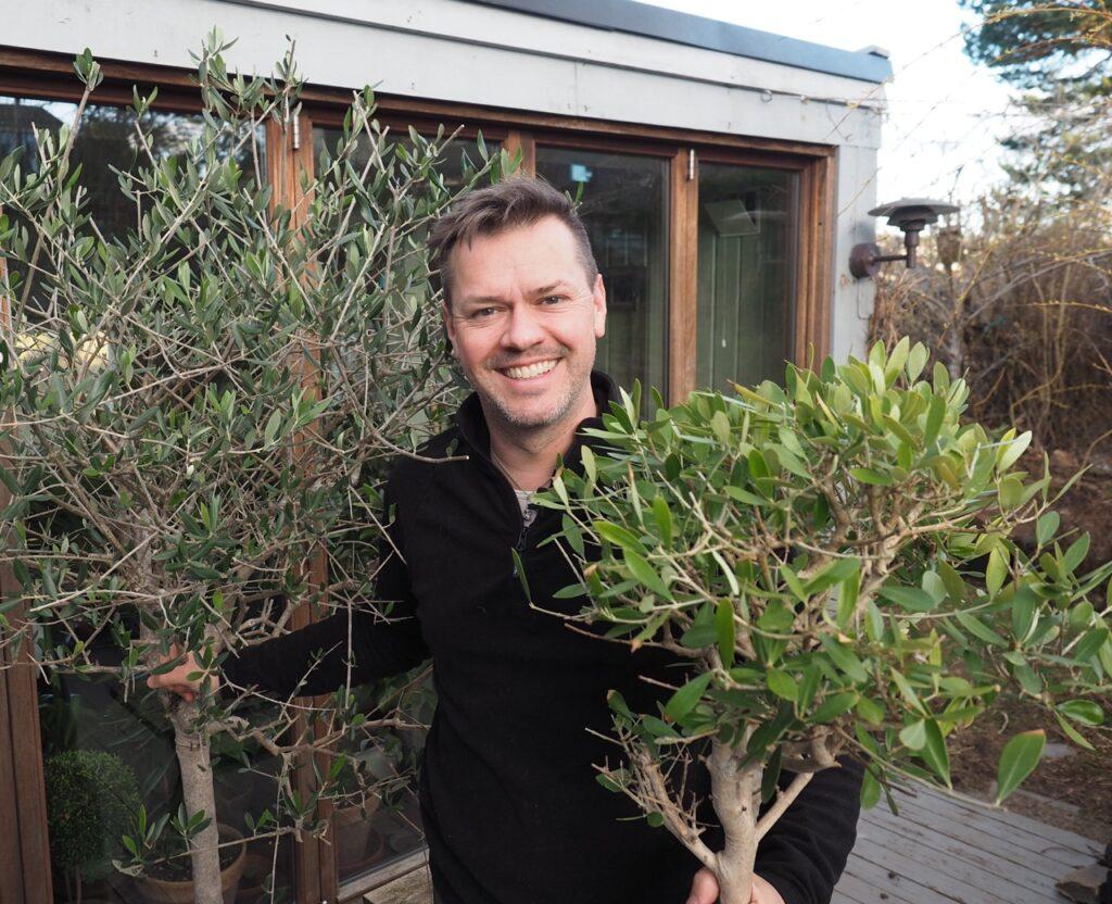 Portrettbilde av planteekspert Espen Skarphagen som holder et oliventre i hver hånd. Han hjelper til med testing av Auk som er en helautomatisk plantedyrker.