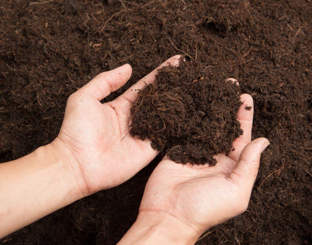 Hender som viser fram en håndfull med plantejord. Eksperten forteller hvilken jord som er best. Les om krukkejord, hagejord og torvfri jord. 