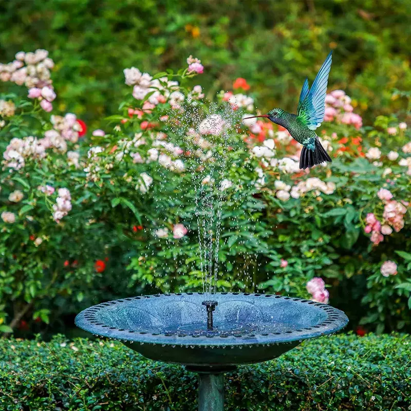 En kolibrifugl svever over en solcelle-drevet fontene. 