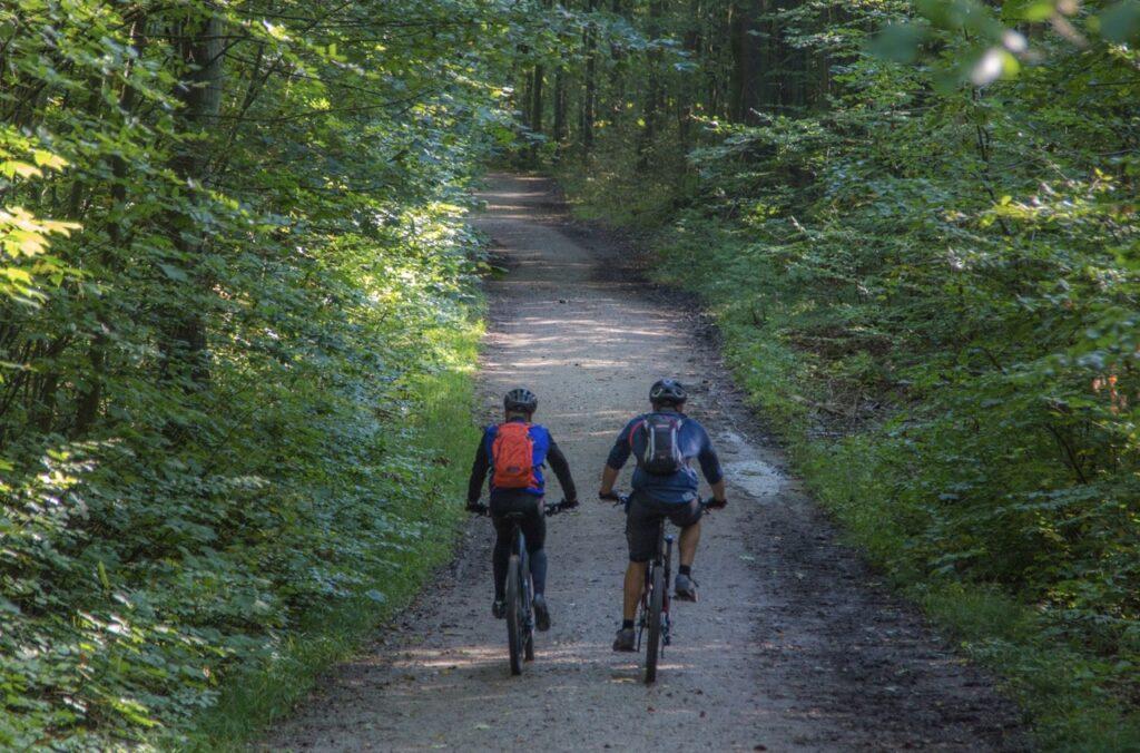 Fulldempet elsykkel best i test: To personer sykler på en skogssti.
