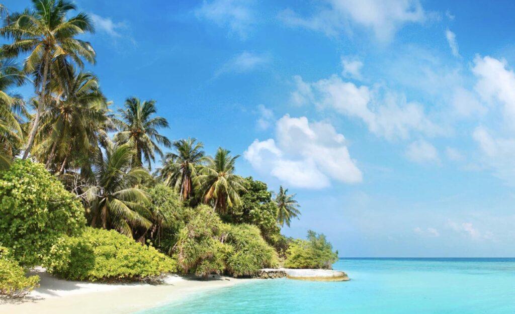 Bilde av azurblått hav og hvite strender med palmer på Maldivene. Vi viser deg hvor du finner billigst reiser og restplasser til Maldivene!