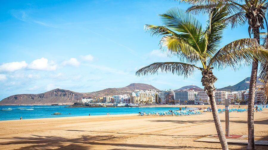 Bilde av en hvit strand med et palmetre i forgrunnen og blått hav og fjell i bakgrunnen. Ny flyplassavgift blir innført på Kanariøyene. Vi forteller det du må vite dersom du skal reise til Gran Canaria, Tenerife, Lanzarote eller Fuerteventura.