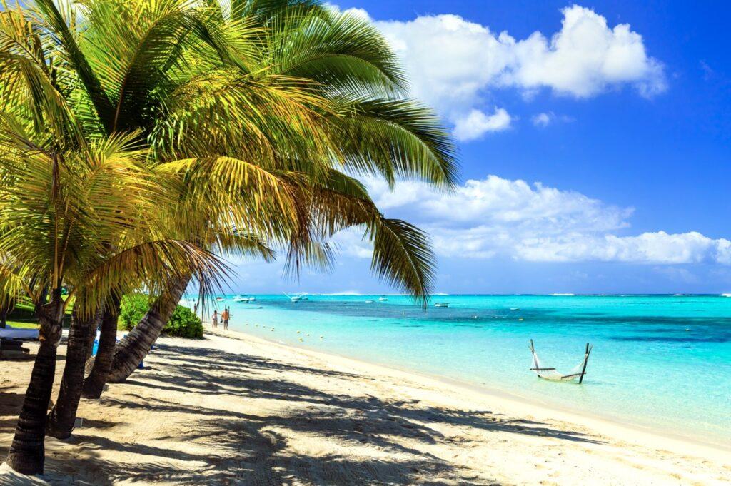 Bilde av en strand på Mauritius hvor du ser grønne palmetrær og knallblått hav. Vi har laget en lang liste på hvor du må reise for å finne varme. Vi avslører blant annet temperaturer på Gran Canaria, Hellas, Kroatia og mange mange flere populære reisedestinasjoner.