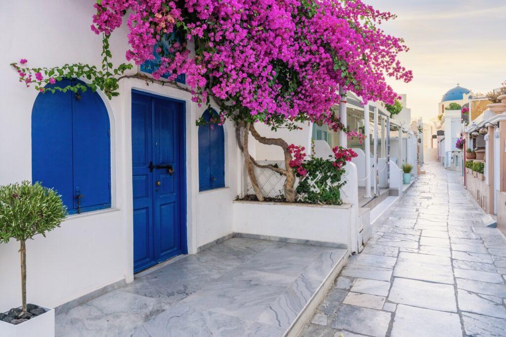 Bilde av en stenlagt gate på Santorini i Hellas. På venstre side ser du klassiske hvite murhus med blå detaljer og en stor plante som blomstrer med rosa blomster. Vi hjelper deg med å planlegge Hellas-ferien ved å svare på «Hvor i Hellas skal man reise?». Vi har snakket med reiseekspert Odd Roar Lange som kommer med tips som Syros, Alonissos, Karpathos, Lefkas, Thassos, Preveza, Ioannina, Parga, Kreta, Samos, Santorini, Rhodos og Kos.