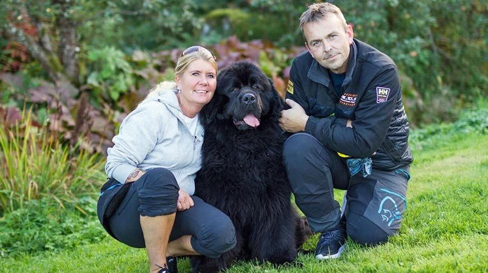 Hunden Anton fra NRK-serien «Fra bølle bestevenn» er død | ABC Nyheter