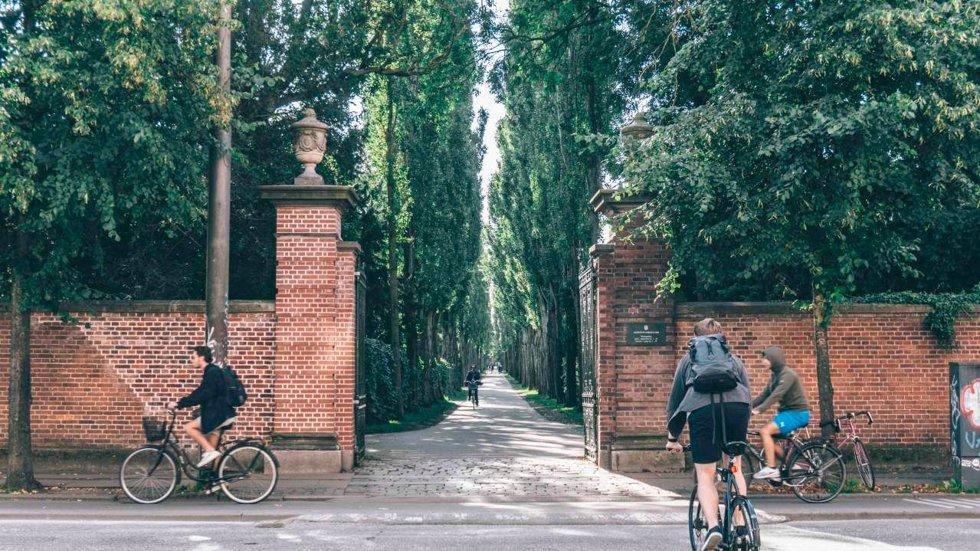 Green oasis: Assistens Kirkegård is a burial place, but also a green oasis and cultural heritage in Nørrebro.  Famous names such as author Hans Christian Andersen and philosopher Søren Kierkegaard rest here.  Photo: Sebastian Himmelstrup / Visit Copenhagen