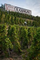 Guigal vineyards in the Rhone Valley Photo: Guigal