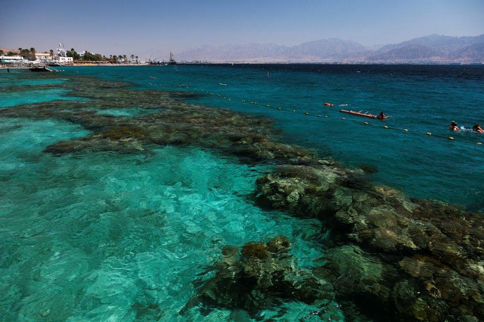 Una nuova protezione solare per la conservazione della barriera corallina è ora in fase di test su subacquei e bagnanti che si godono le barriere coralline del Mar Rosso a Eilat, in Israele.  Foto: scatola dei colori