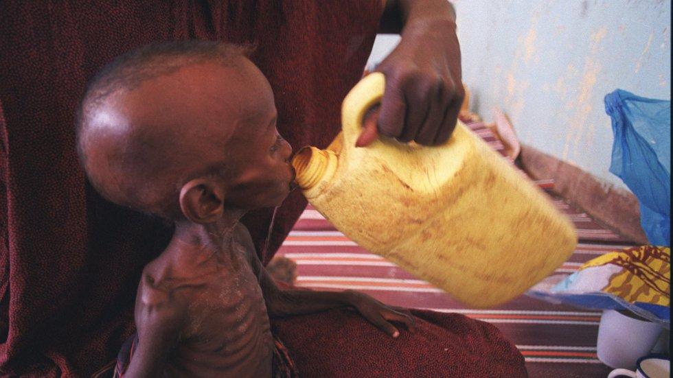 FN: 822 millioner mennesker sulter på grunn av klimaendringer og konflikter  | ABC Nyheter