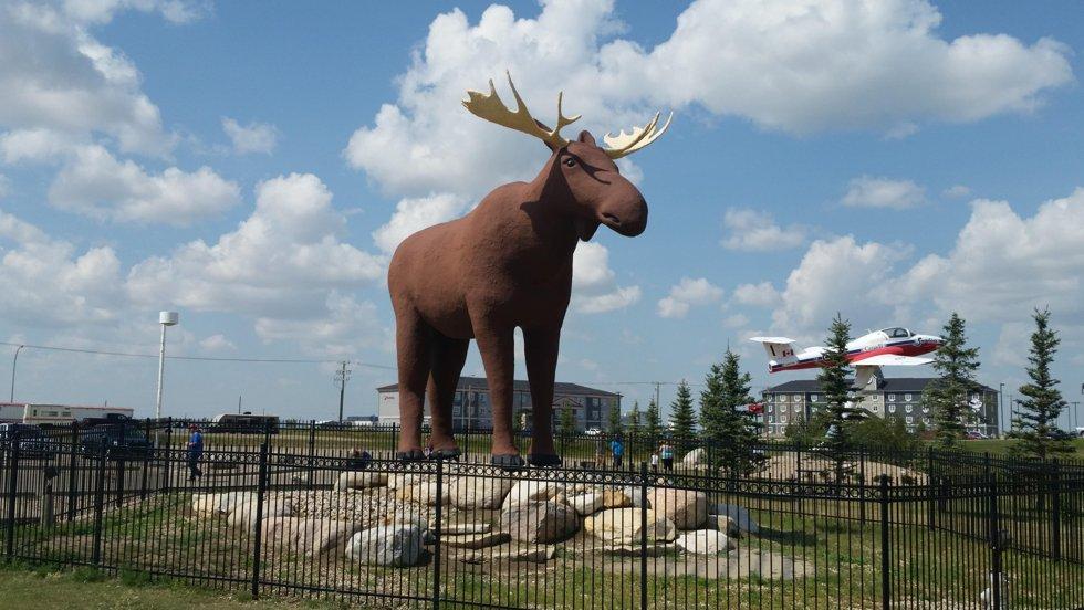Latest From The Moose Warfront: Mac the Moose Is the World’s Largest Moose Again