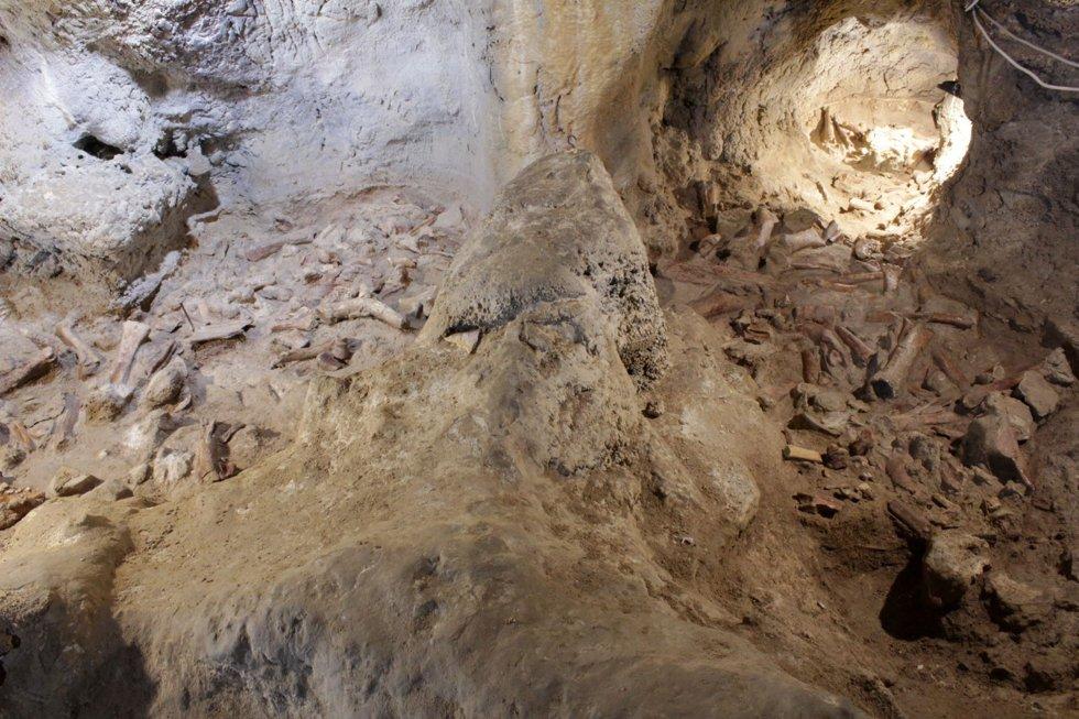 Clamorosa scoperta in Italia: nove uomini di Neanderthal trovati in una grotta