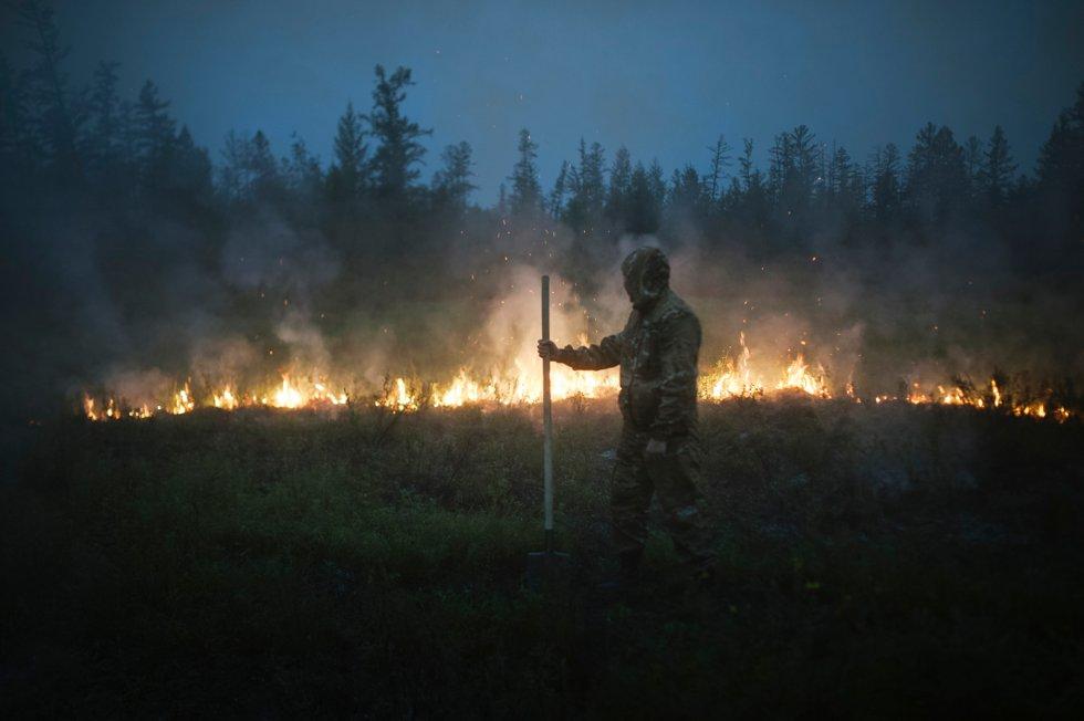 Major devastation in Siberia – forest fires continue to ravage