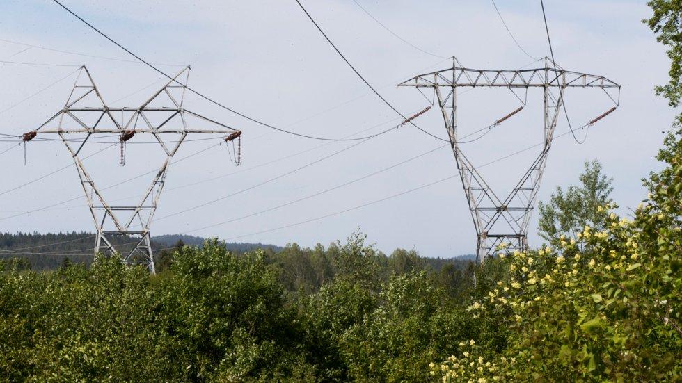 High electricity prices characterize the consumer price index |  ABC News