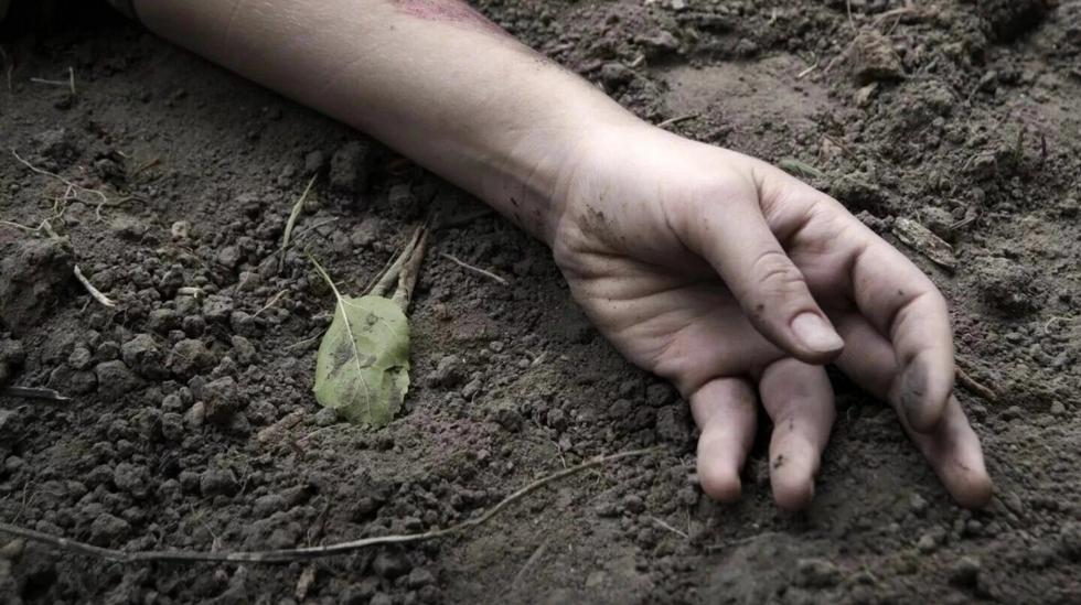 Researchers left 36 bodies to rot and discovered something that could ...