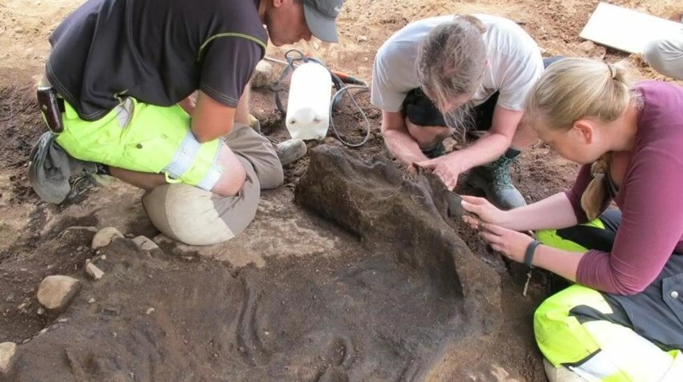 The funniest archaeologists' discoveries: – I was completely sweating from all the responsibility The funniest archaeologists' discoveries: – I was completely sweating from all the responsibility