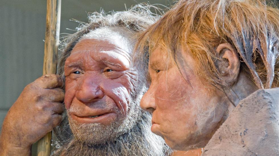 Are you the type of person who wakes up early?  They may have inherited this from Neanderthals